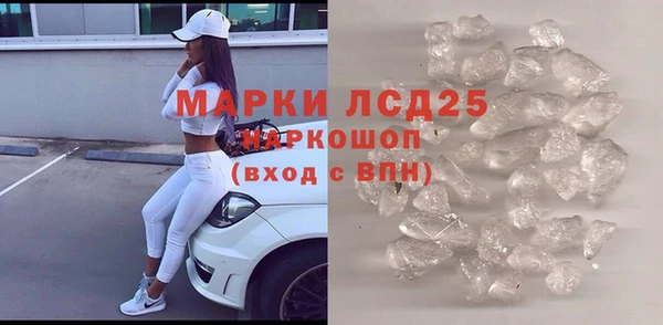 молекула духа Богданович