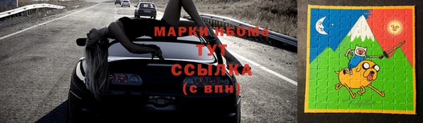 молекула духа Богданович