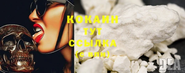 молекула духа Богданович