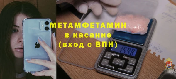 молекула духа Богданович