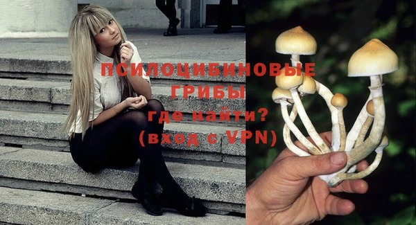 молекула духа Богданович