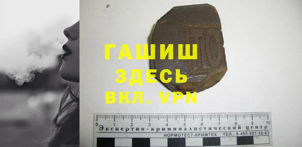 молекула духа Богданович