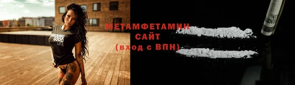 молекула духа Богданович