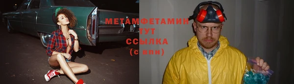 молекула духа Богданович