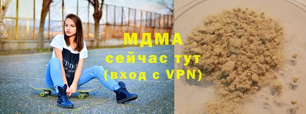 молекула духа Богданович