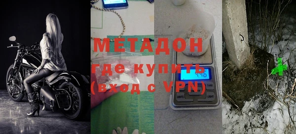 молекула духа Богданович