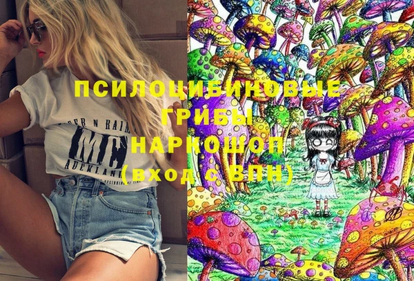 молекула духа Богданович