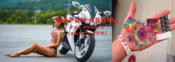 молекула духа Богданович