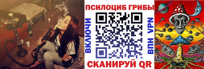 закладки  Вязники  omg зеркало  Галлюциногенные грибы Cubensis 